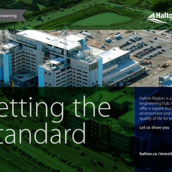 Halton Region Sector Profile Cover Design