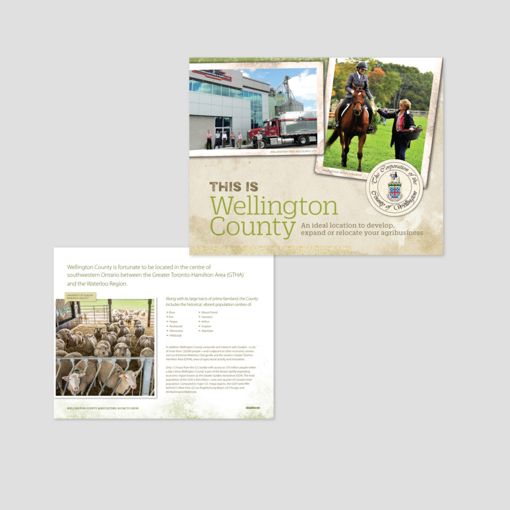 Cover of a Wellington County Sector Profile