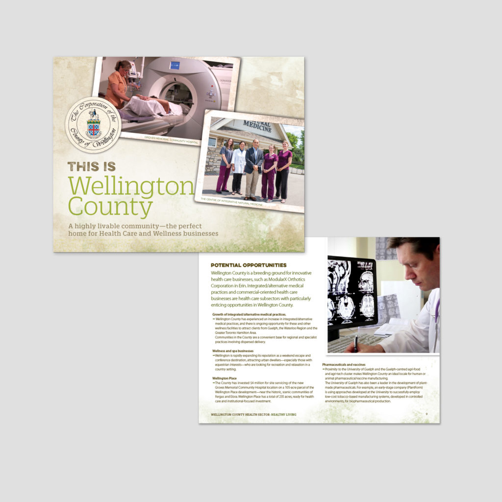 Cover of a Wellington County Sector Profile