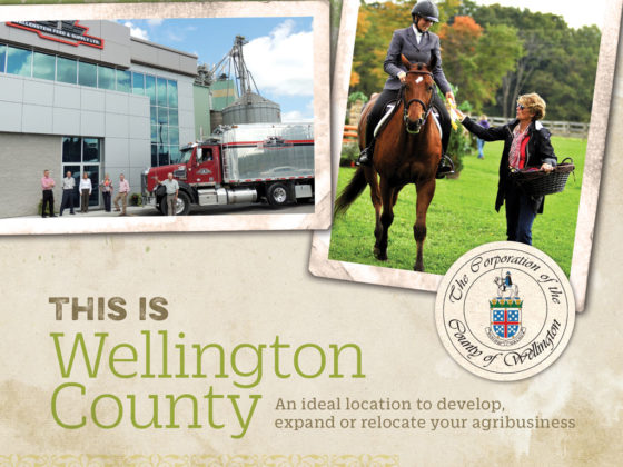 Cover of a Wellington County Sector Profile