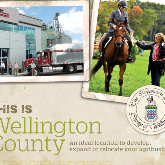Cover of a Wellington County Sector Profile
